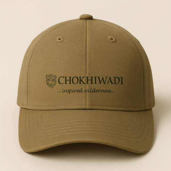 20250515_112710_0000