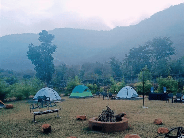 Camp in Sariska - Chokhiwadi