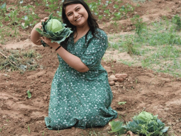 Chokhiwadi Food Forest in sariska