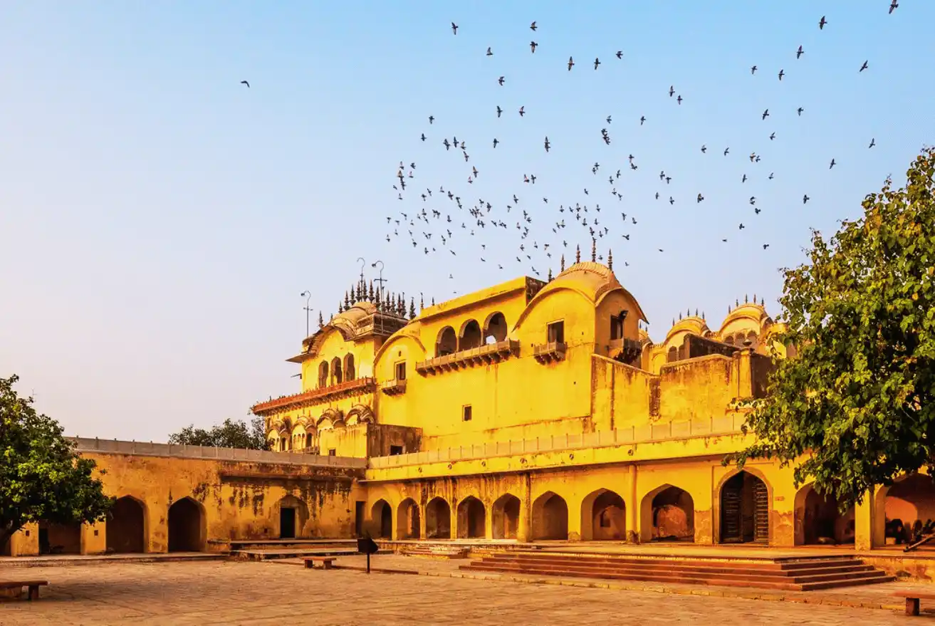 Experience-The-Enchanting-Majesty-Of-Alwar