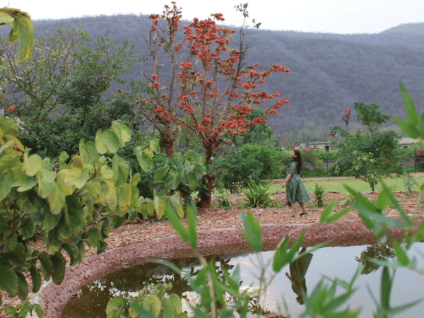 Sariska Nature view