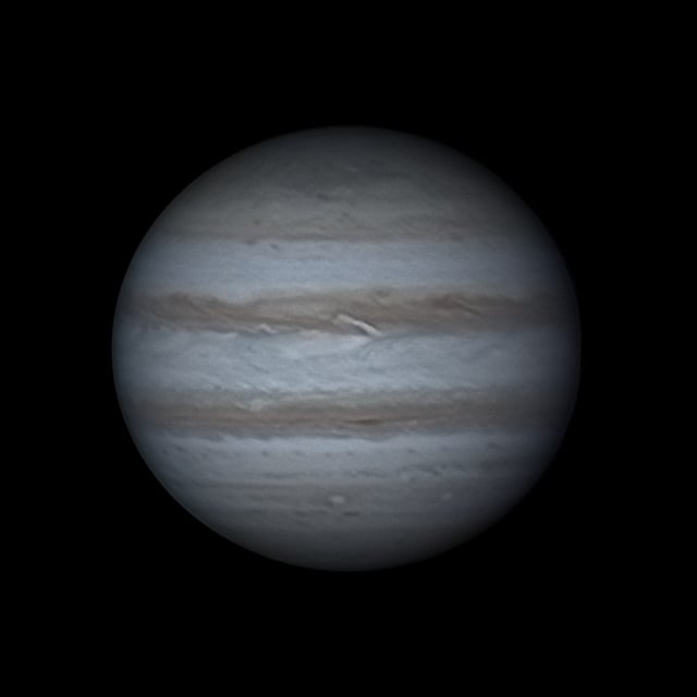 An Ancient Forest Meets the Infinite Sky