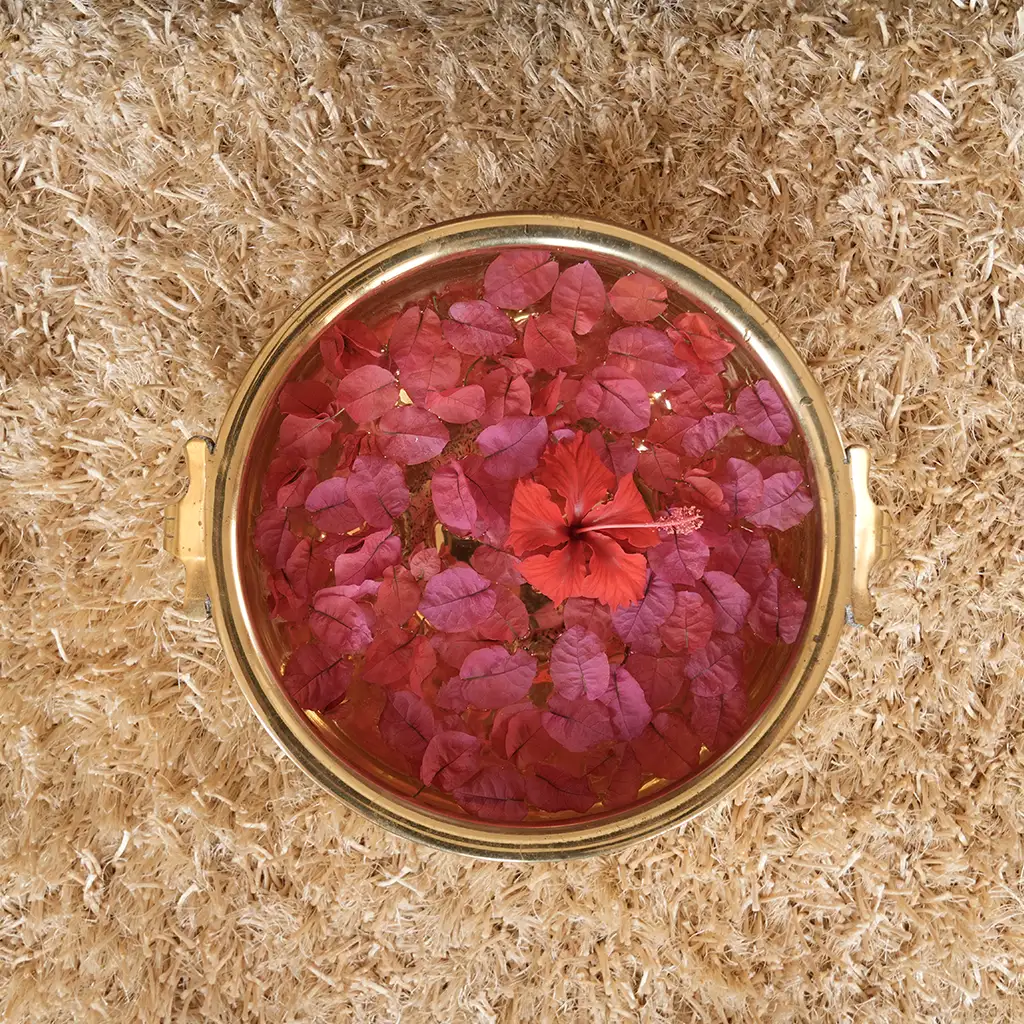 Luxury Cottage in Sariska 1