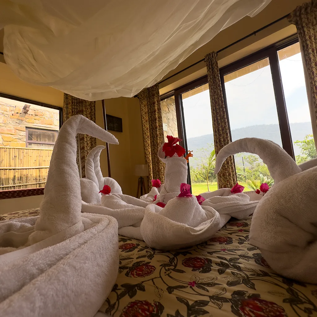 Luxury Cottage in Sariska 13