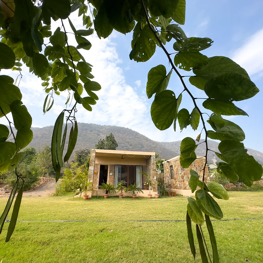 Luxury Cottage in Sariska 9