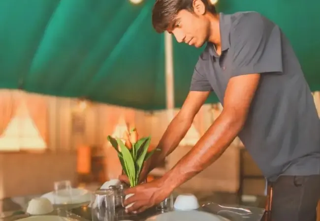 Meet Creative Collaborators