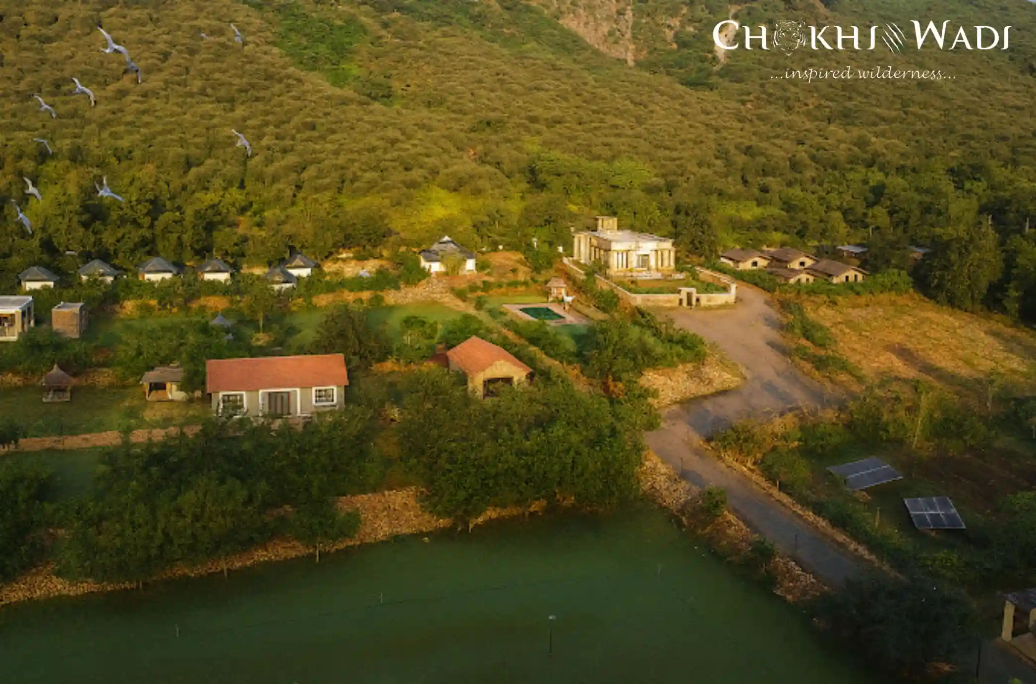 One-Day Trip to Sariska Wildlife Sanctuary Perfect Itinerary