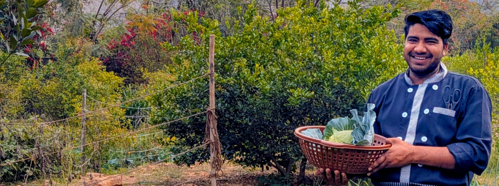 Organic Food Forest - Choose Your Fruit