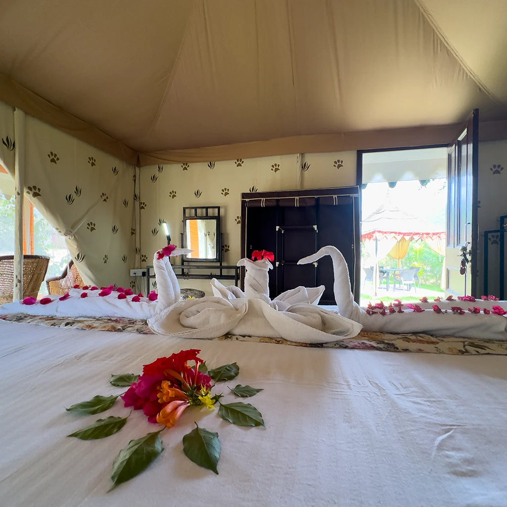 Rooms in Sariska Glamping Tent 11