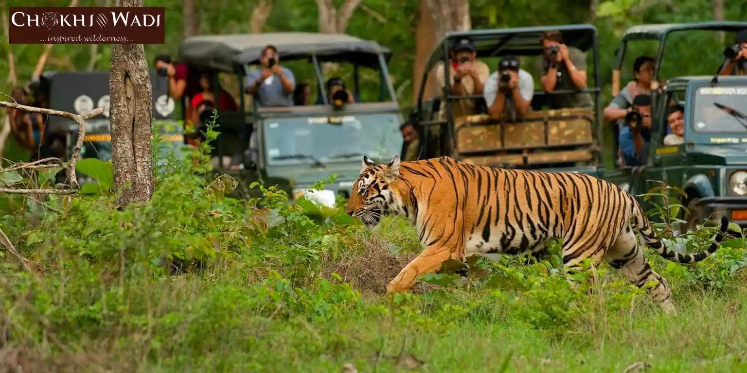 How to Reach Alwar from Jaipur Distance, Route & Travel Options