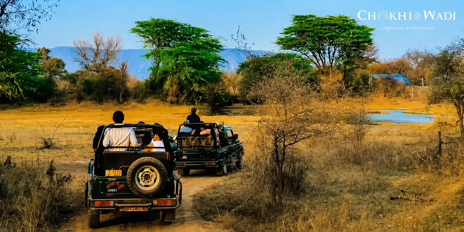 Delhi to Sariska Distance, Route & Travel Tips