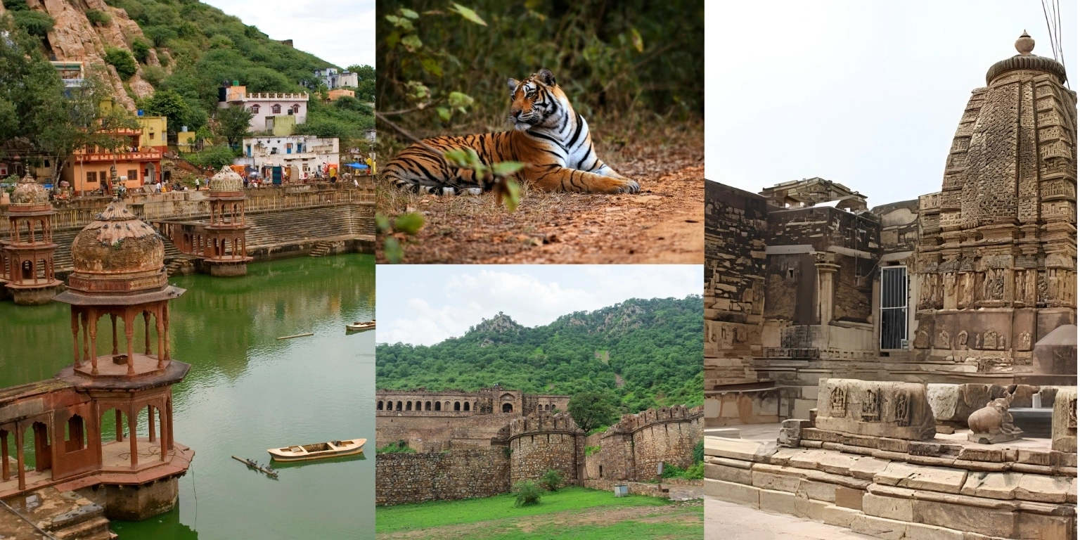Things to Do in Sariska