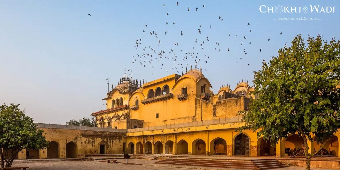 Bala Qila Fort: Complete Guide to Alwar's Historic Fort