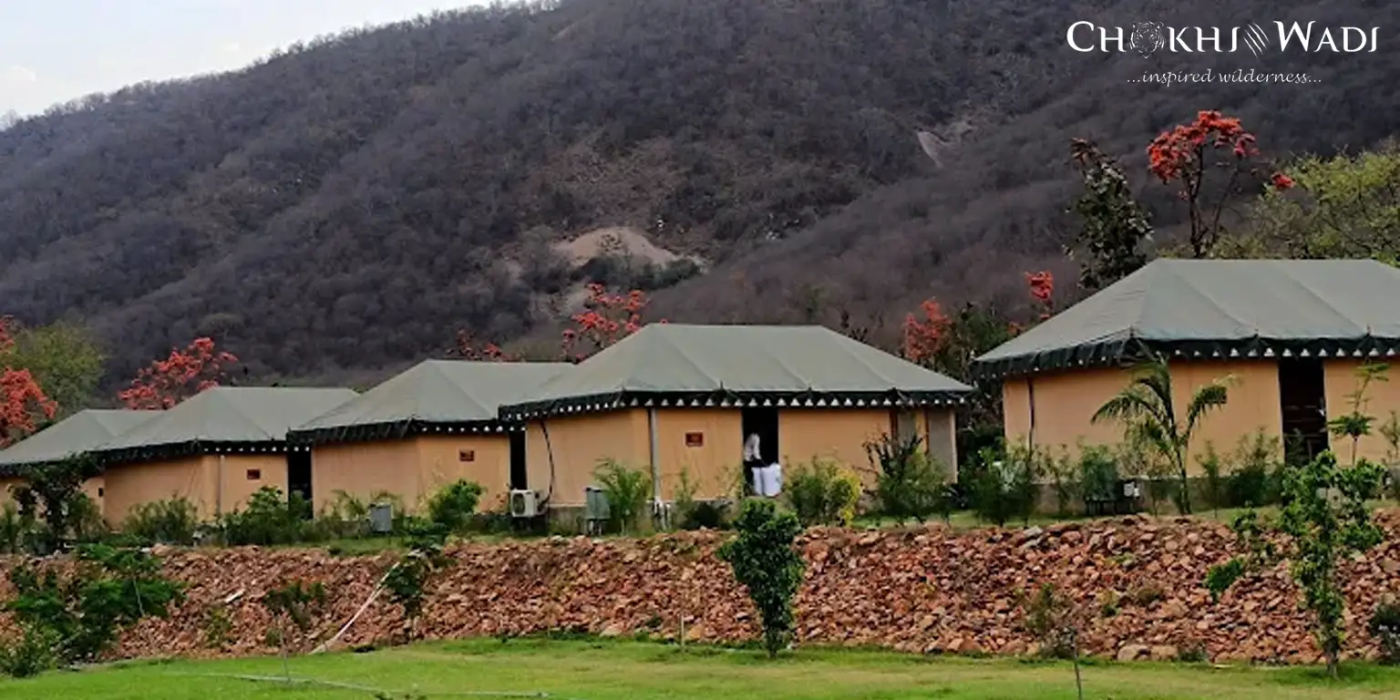 Looking for an affordable yet luxurious place to stay in Sariska