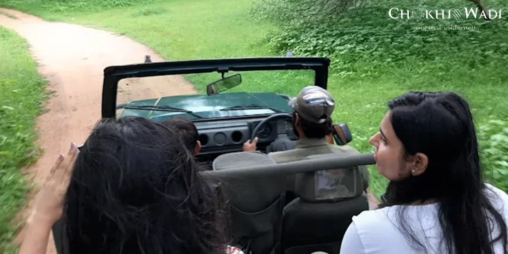 Morning Safari and One Nearby Stop