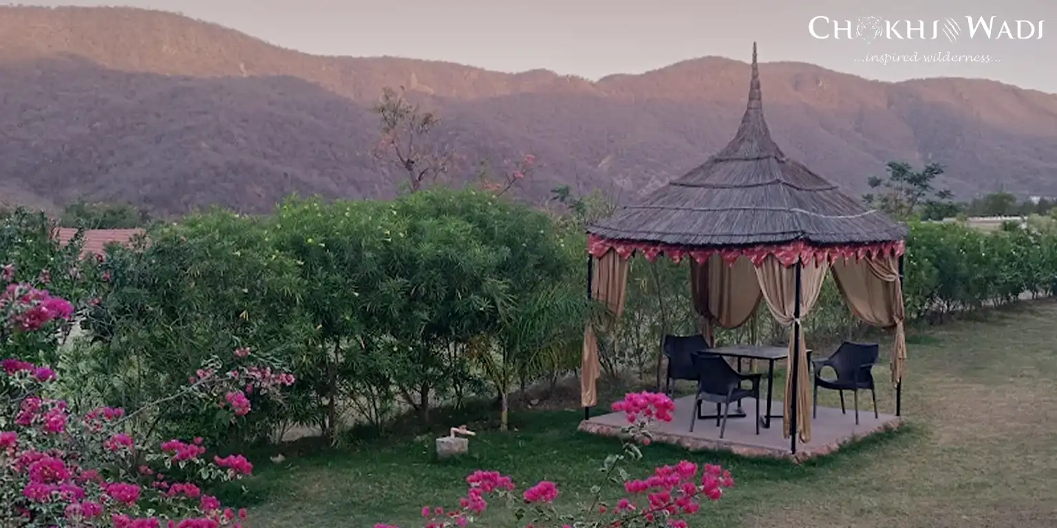 Sariska 2 Nights 3 Days Itinerary for a Weekend Trip