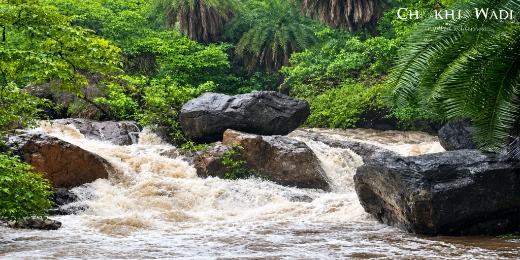 Sariska in Monsoon (July to September)