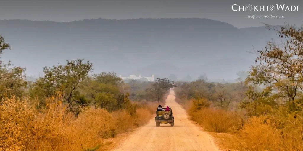 Sariska in Summer (April to June)