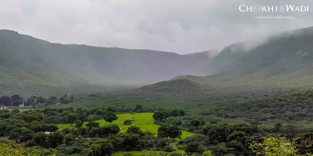 Sariska in Winter (October to March)