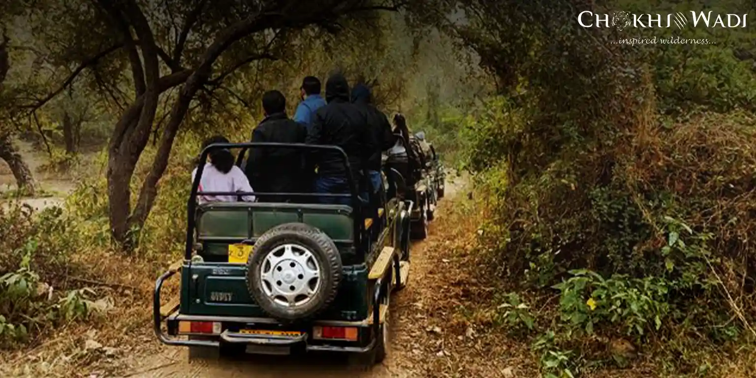 What to Pack for a Sariska Trip A Practical Checklist for Every Season.